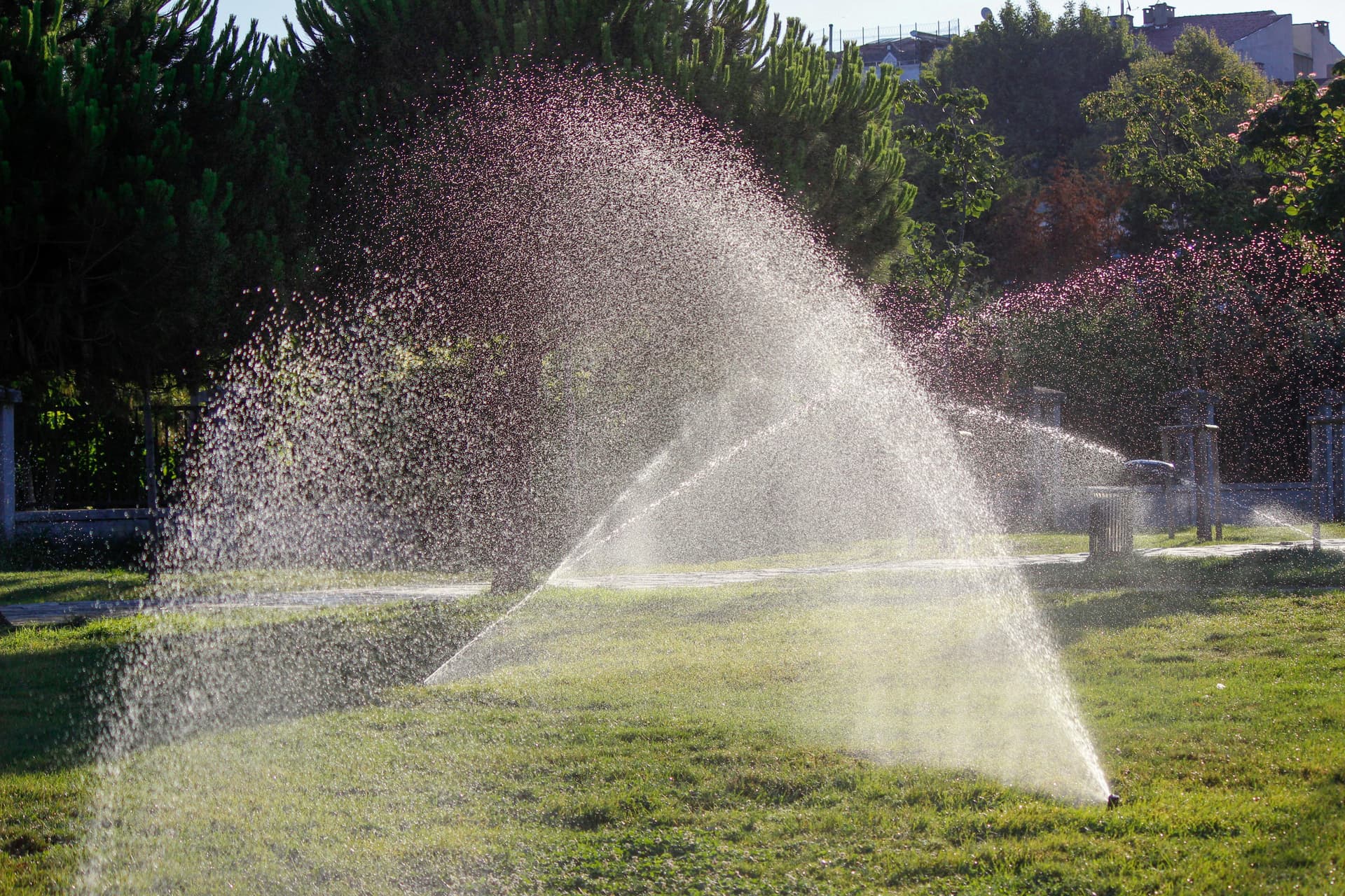 Lush green Arizona landscaping kept healthy by JMM Landscaping irrigation