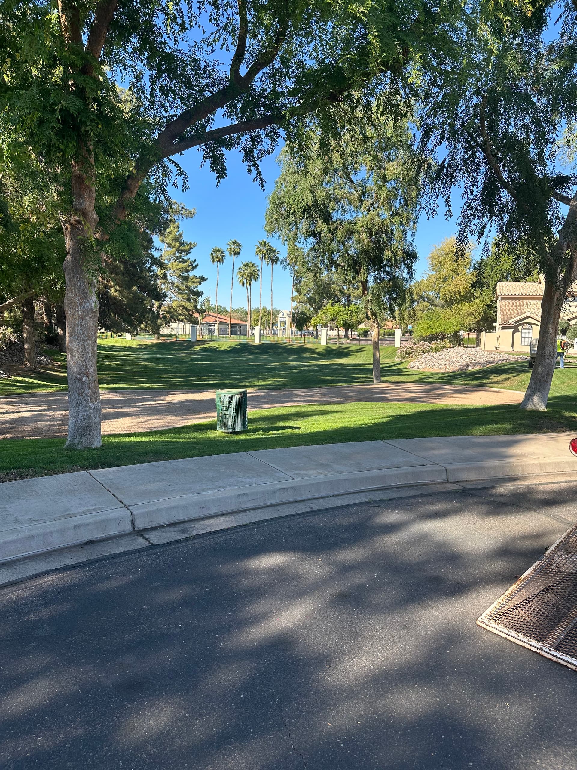 JMM Landscaping project 1 in Arizona