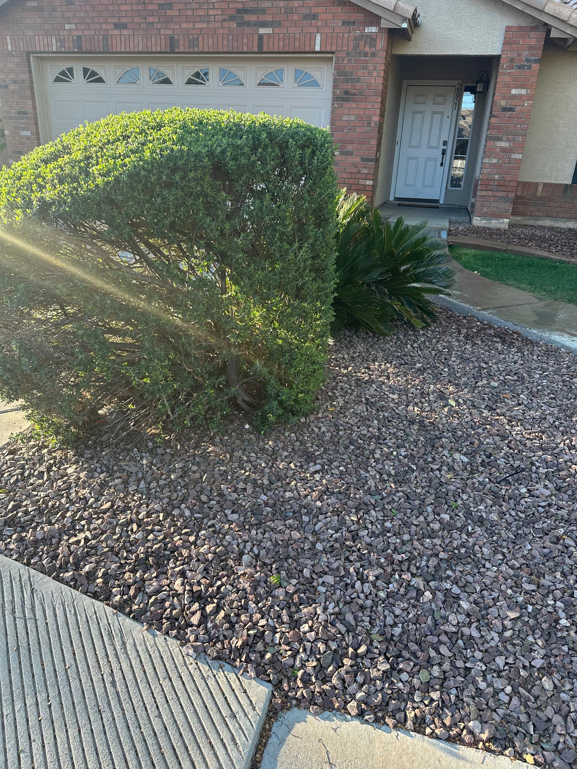 JMM Landscaping project 3 in Arizona