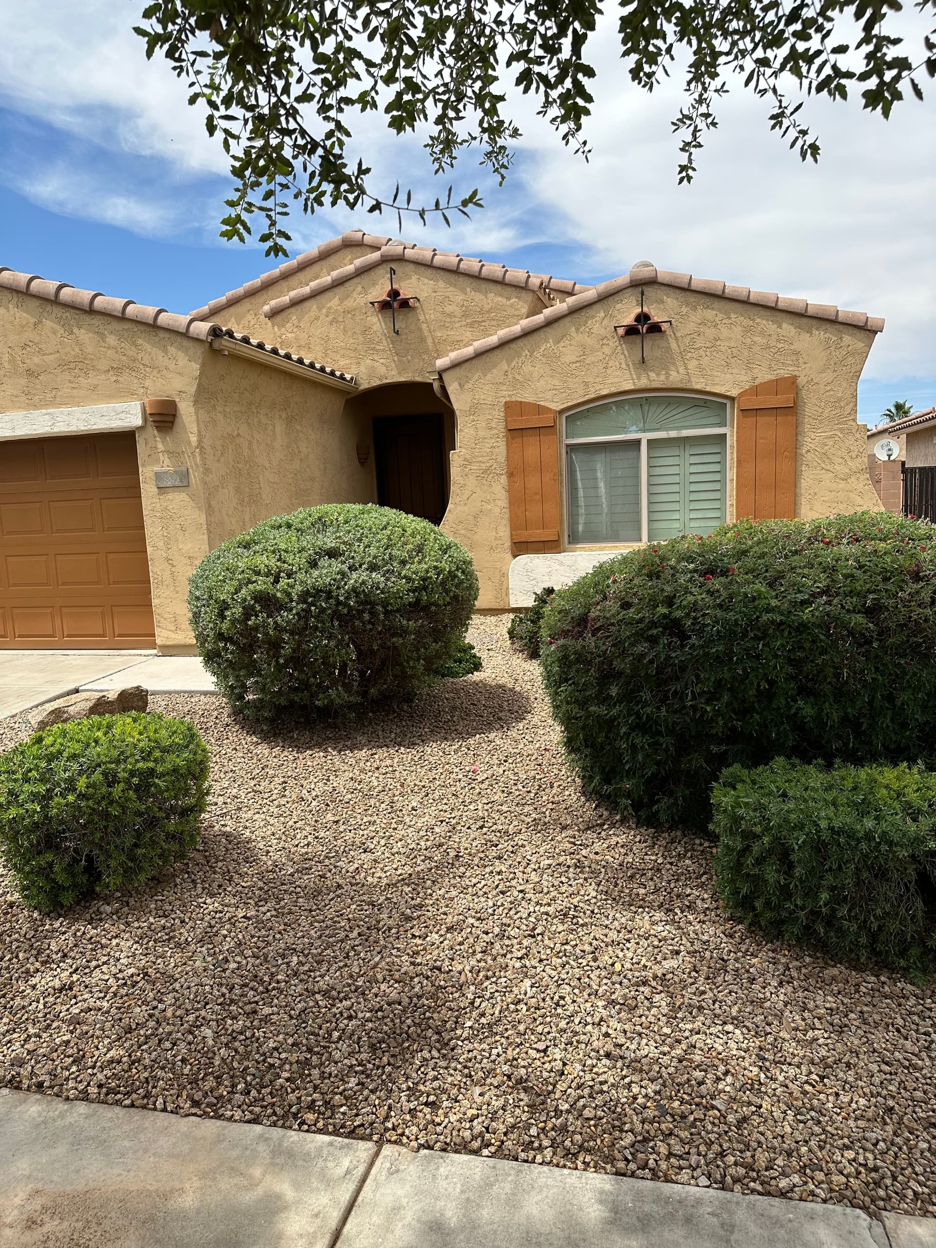 Cleanups & Property Maintenance by JMM Landscaping